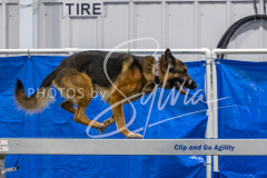 2024-3-10-May-Trial-212