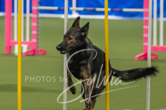 2024-3-10-May-Trial-213