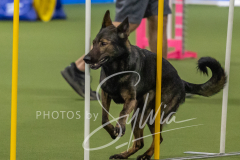 2024-3-10-May-Trial-214