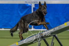 2024-3-10-May-Trial-215