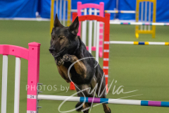 2024-3-10-May-Trial-217