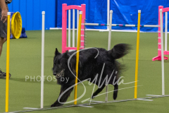 2024-3-10-May-Trial-219