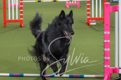 2024-3-10-May-Trial-221