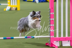 2024-3-10-May-Trial-227