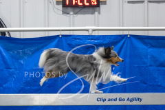 2024-3-10-May-Trial-228