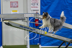 2024-3-10-May-Trial-229