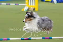 2024-3-10-May-Trial-230