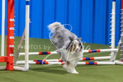 2024-3-10-May-Trial-231