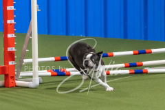 2024-3-10-May-Trial-236