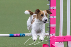 2024-3-10-May-Trial-239