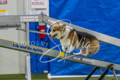 2024-3-10-May-Trial-241