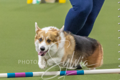 2024-3-10-May-Trial-242