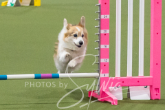 2024-3-10-May-Trial-243