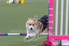 2024-3-10-May-Trial-245