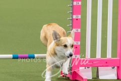 2024-3-10-May-Trial-246