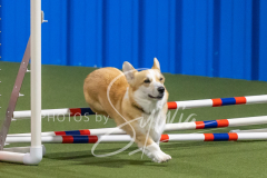 2024-3-10-May-Trial-249