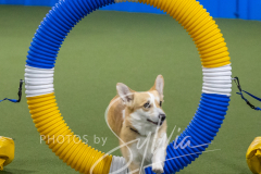 2024-3-10-May-Trial-250