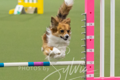 2024-3-10-May-Trial-252