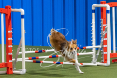 2024-3-10-May-Trial-255