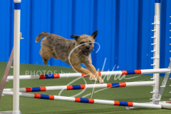 2024-3-10-May-Trial-257