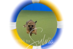 2024-3-10-May-Trial-258