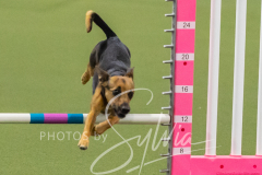 2024-3-10-May-Trial-259