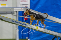 2024-3-10-May-Trial-260