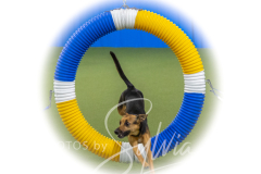 2024-3-10-May-Trial-263