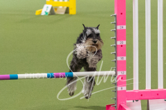 2024-3-10-May-Trial-264