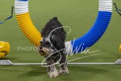 2024-3-10-May-Trial-266