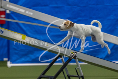 2024-3-10-May-Trial-268