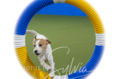 2024-3-10-May-Trial-270