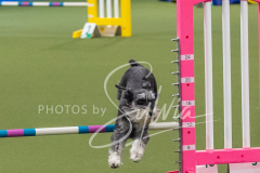 2024-3-10-May-Trial-271