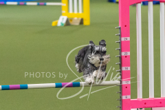 2024-3-10-May-Trial-273