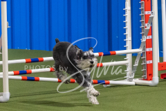 2024-3-10-May-Trial-274