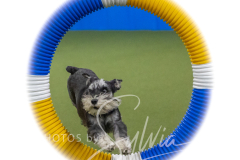 2024-3-10-May-Trial-275