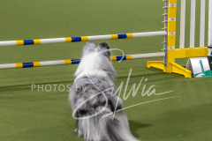 2024-3-10-May-Trial-276