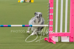 2024-3-10-May-Trial-277