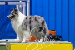 2024-3-10-May-Trial-279