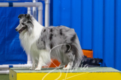 2024-3-10-May-Trial-280