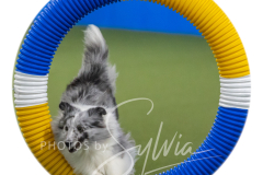 2024-3-10-May-Trial-282