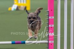 2024-3-10-May-Trial-283