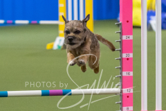 2024-3-10-May-Trial-284