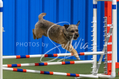 2024-3-10-May-Trial-285