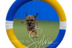 2024-3-10-May-Trial-286