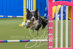 2024-3-10-May-Trial-287