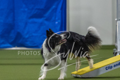 2024-3-10-May-Trial-288