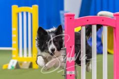 2024-3-10-May-Trial-289