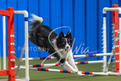 2024-3-10-May-Trial-290