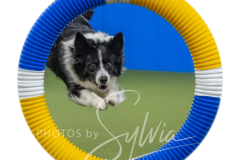 2024-3-10-May-Trial-291